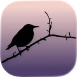 Sort Sol - App der simulerer Sort Sol